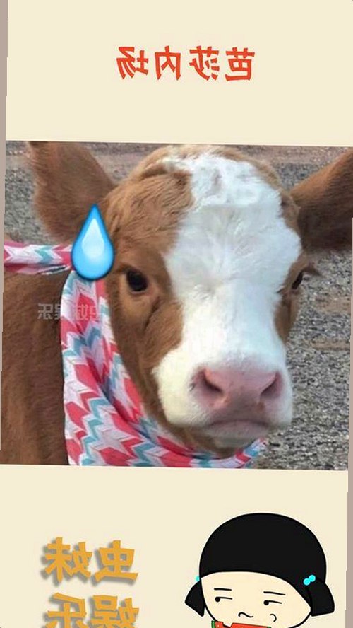 三只羊录音门风波持续发酵，卢文庆私密录音揭露多名女主播潜规则