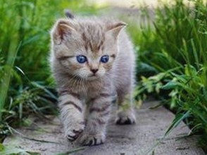 娱乐圈沙雕时刻大盘点：笑料连连，吃瓜不停🍉