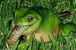 娱乐圈再现“塌房”事件，真相逐步揭开引发热议🔥