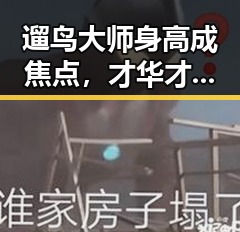 遛鸟大师身高成焦点，才华才是真正的“硬核”💪
