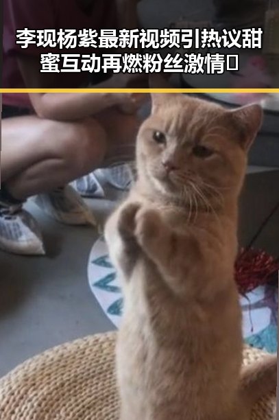 李现杨紫最新视频引热议 甜蜜互动再燃粉丝激情🔥