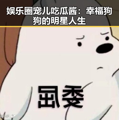 娱乐圈宠儿吃瓜酱：幸福狗狗的明星人生