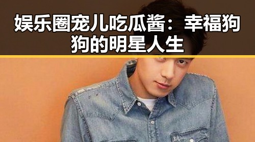 娱乐圈宠儿吃瓜酱:幸福狗狗的明星人生