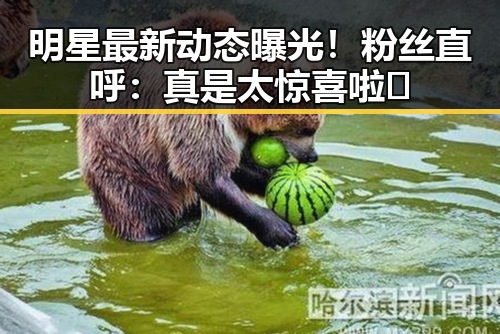 明星最新动态曝光！粉丝直呼：真是太惊喜啦✨